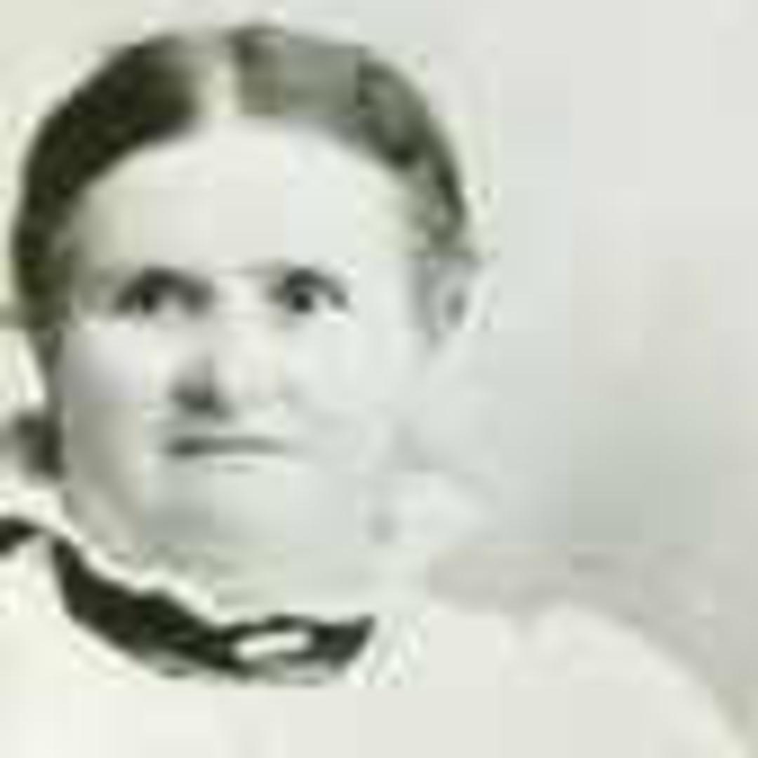 Melissa Johnson (1843 - 1926) Profile